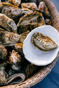 Oyster bowl